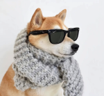 PetsClub